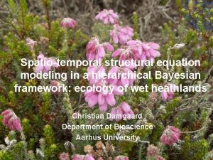 Spatiotemporal structural equation modeling in a hierarchical Bayesian