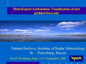 Meteo Expert workstation Visualization of new gridded forecasts