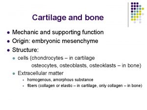 Cartilage and bone l l l Mechanic and