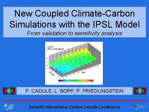 New Coupled ClimateCarbon Simulations with the IPSL Model