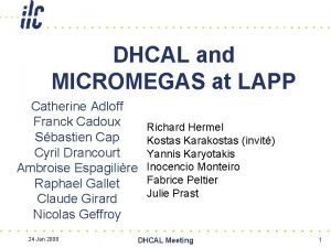 DHCAL and MICROMEGAS at LAPP Catherine Adloff Franck