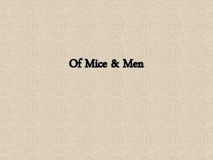 Of Mice Men Background Set in the 1930s