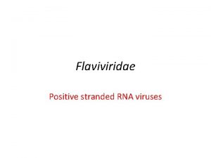 Flaviviridae Positive stranded RNA viruses Flaviviridae Enveloped virions