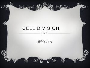 CELL DIVISION Mitosis WHAT IS MITOSIS v Part