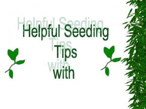 SEEDING YOUR LAWN Its best to seed your