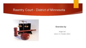 Reentry Court District of Minnesota Overview by Reggie