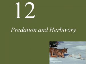 12 Predation and Herbivory 12 Predation and Herbivory