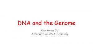 DNA and the Genome Key Area 3 d