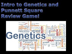 Genetics review game