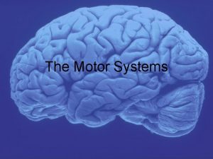 The Motor Systems Whats the motor system Parts