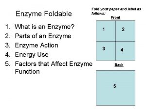Enzyme foldable instructions