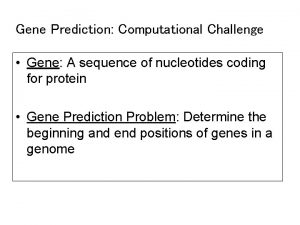 Gene Prediction Computational Challenge Gene A sequence of