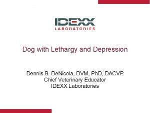 Dog with Lethargy and Depression Dennis B De