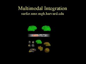 Multimodal Integration surfer nmr mgh harvard edu Overview Multimodal Integration surfer nmr mgh harvard edu Overview