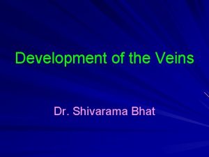 Development of the Veins Dr Shivarama Bhat The