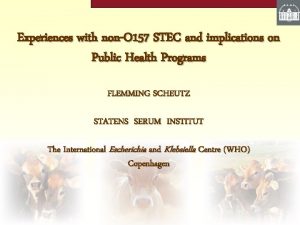 Experiences with nonO 157 STEC and implications on
