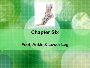 Chapter Six Foot Ankle Lower Leg Anatomy The