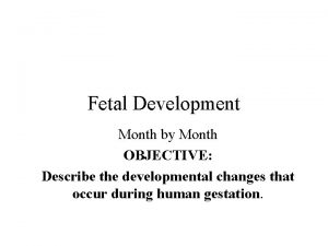 Fetal Development Month by Month OBJECTIVE Describe the