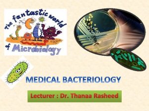 Bacterial structure Bacterial structure