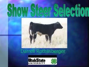 Darrell Rothlisberger Parts of the Steer Wholesale Cuts