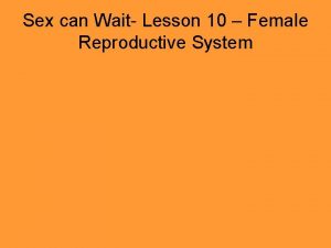 Sex can wait thin your paint Sex can wait thin your paint