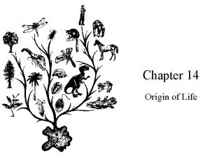 Chapter 14 Origin of Life Pasteurs Experiment Theories