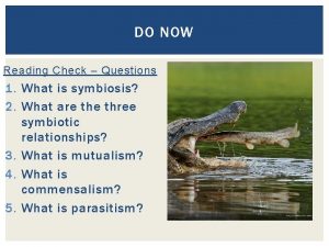 What is commensalism