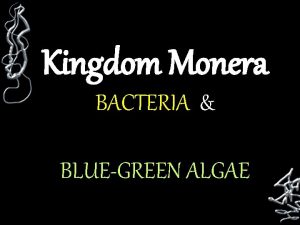 Blue green bacteria kingdom