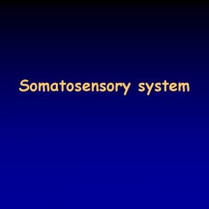 Somatosensory system Sensory systems 228 sensory systems inform