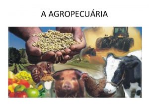 A AGROPECURIA Agropecuria toda a atividade do espao