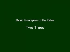 Evil tree in the bible