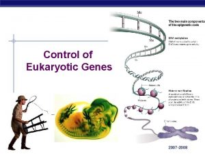 Control of Eukaryotic Genes AP Biology 2007 2008