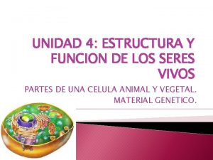 UNIDAD 4 ESTRUCTURA Y FUNCION DE LOS SERES