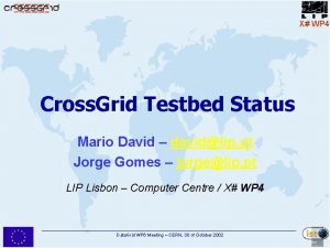 Cross grid test