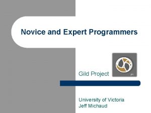 Novice and Expert Programmers Gild Project University of