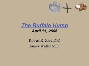 The Buffalo Hump April 11 2006 Robert R