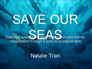 SAVE OUR SEAS Exploring sustainable seafood schemes and
