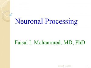 Neuronal Processing Faisal I Mohammed MD Ph D