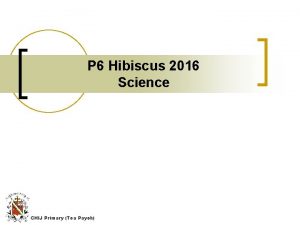 P 6 Hibiscus 2016 Science CHIJ Primary Toa