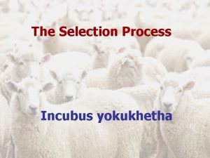 The Selection Process Incubus yokukhetha The Selection Process