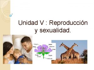 Unidad V Reproduccin y sexualidad Reproduccin La reproduccin