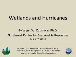 Wetlands and Hurricanes By Wynn W Cudmore Ph