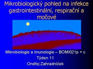 Mikrobiologick pohled na infekce gastrointestinln respiran a moov