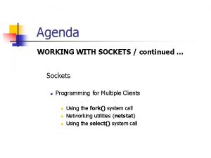 Agenda WORKING WITH SOCKETS continued Sockets n Programming Agenda WORKING WITH SOCKETS continued Sockets n Programming
