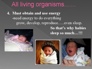 All living organisms 4 Must obtain and use
