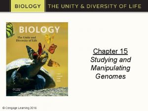 Chapter 15 Studying and Manipulating Genomes Cengage Learning