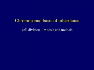 Chromosomal basis of inheritance cell division mitosis and