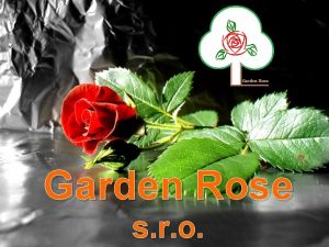 Garden Rose s r o Garden Rose s Garden Rose s r o Garden Rose s