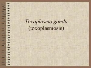 Toxoplasma gondii toxoplasmosis Introduction Toxoplasma gondii has very