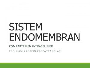 Sistem endomembran